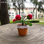 Wool Crochet Strawberry Bonsai Handmade Diy Woven Ornaments