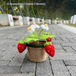 Wool Crochet Strawberry Bonsai Handmade Diy Woven Ornaments